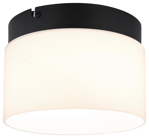 STROPNÍ SVÍTIDLO, 20/14 cm Collett's Monde - Online Only svítidla, Online Only