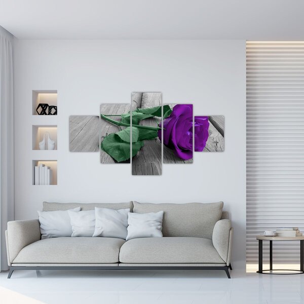 Obraz - Fialová růže se zeleným stonkem (125x70 cm)