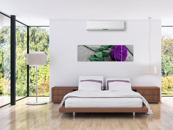 Obraz - Fialová růže se zeleným stonkem (170x50 cm)