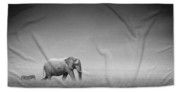 Sablio Ručník Slon a zebra - 30x50 cm