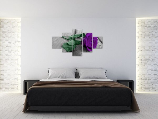 Obraz - Fialová růže se zeleným stonkem (125x70 cm)