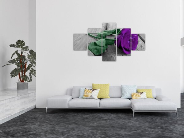 Obraz - Fialová růže se zeleným stonkem (125x70 cm)