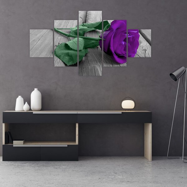 Obraz - Fialová růže se zeleným stonkem (125x70 cm)