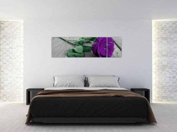 Obraz - Fialová růže se zeleným stonkem (170x50 cm)