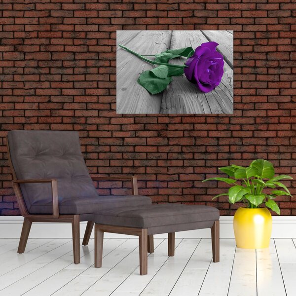 Obraz - Fialová růže se zeleným stonkem (70x50 cm)