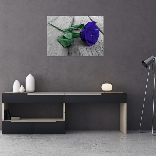 Obraz - Modrá růže se zeleným stonkem (70x50 cm)