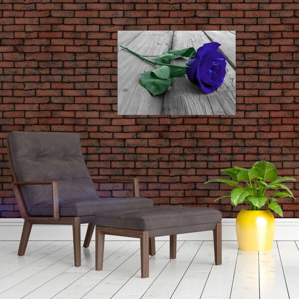 Obraz - Modrá růže se zeleným stonkem (70x50 cm)