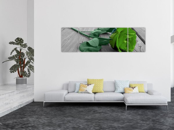 Obraz - Zelená růže (170x50 cm)