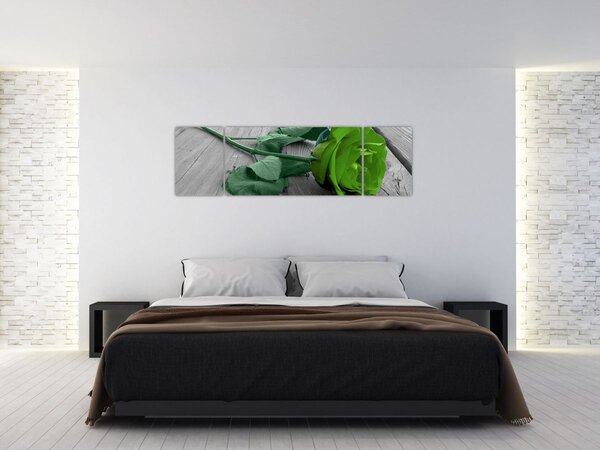 Obraz - Zelená růže (170x50 cm)