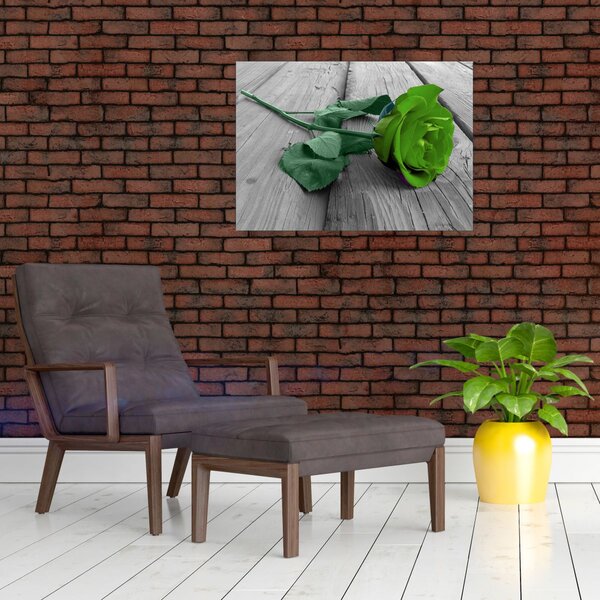 Obraz - Zelená růže (70x50 cm)
