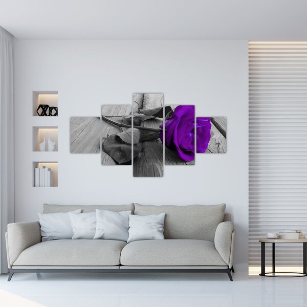 Obraz - Fialová růže se zeleným stonkem (125x70 cm)