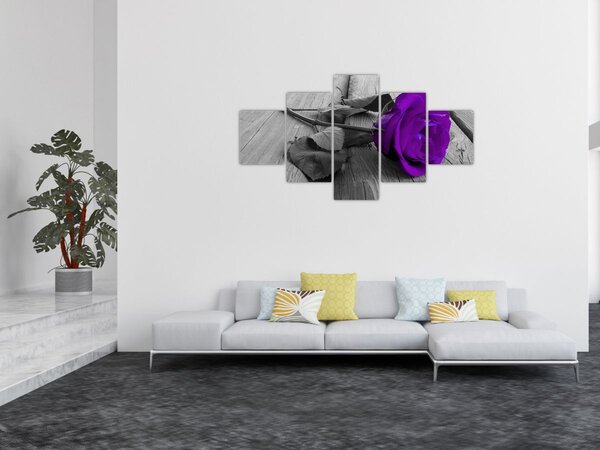 Obraz - Fialová růže se zeleným stonkem (125x70 cm)