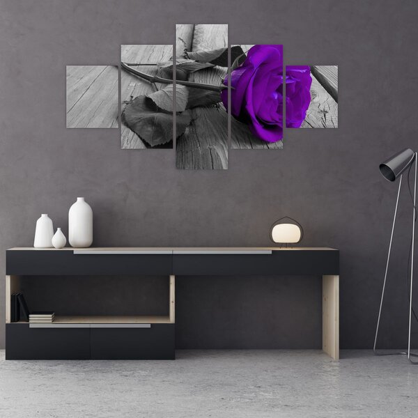 Obraz - Fialová růže se zeleným stonkem (125x70 cm)