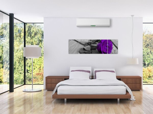 Obraz - Fialová růže se zeleným stonkem (170x50 cm)