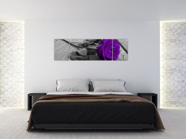 Obraz - Fialová růže se zeleným stonkem (170x50 cm)