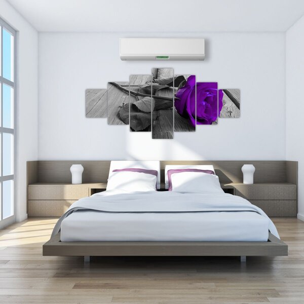 Obraz - Fialová růže se zeleným stonkem (210x100 cm)