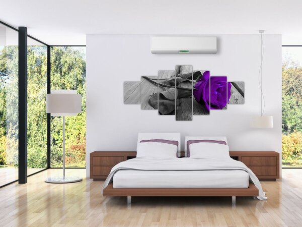 Obraz - Fialová růže se zeleným stonkem (210x100 cm)