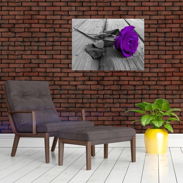 Obraz - Fialová růže se zeleným stonkem (70x50 cm)