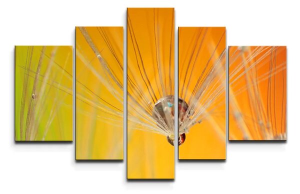 Sablio Obraz - 5-dílný Odkvetlé pampelišky 2 - 125x90 cm