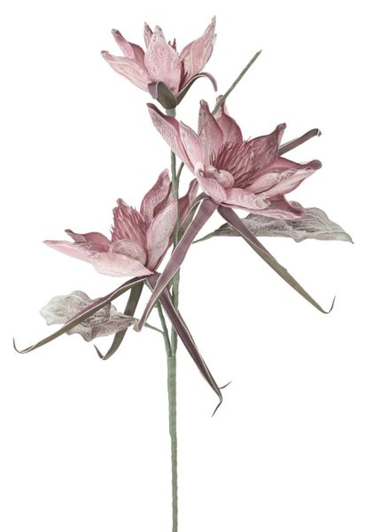 Umělá květina EPIPHYTA V3 98 CM růžová Doplňky | Umělé květiny