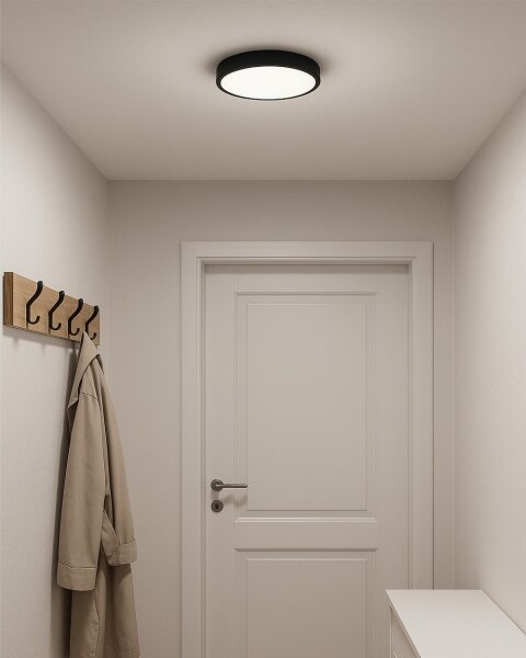 LED Stropní svítidlo LED/24W/230V 3000/4000/6500K pr. 30 cm černá