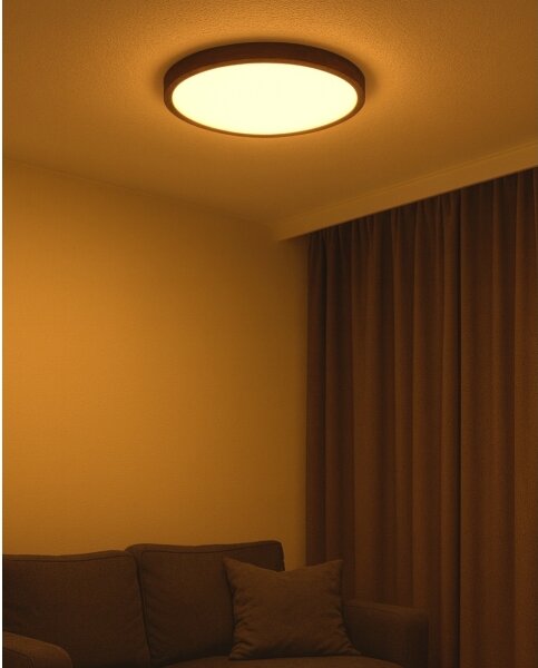 LED Stropní svítidlo LED/40W/230V 3000/4000/6500K pr. 50 cm hnědá