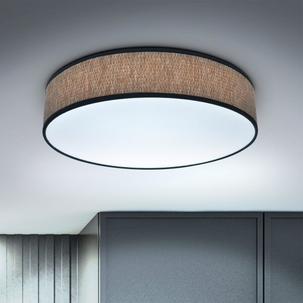 Brilagi - LED Stmívatelné stropní svítidlo ADELA LED/48W/230V 3000-6500K + DO