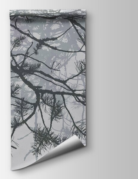 Fototapeta Větve stromů s jehličím, Přírodní fototapety, Populární fototapety, w08166v1 - Tapeko.co.cz