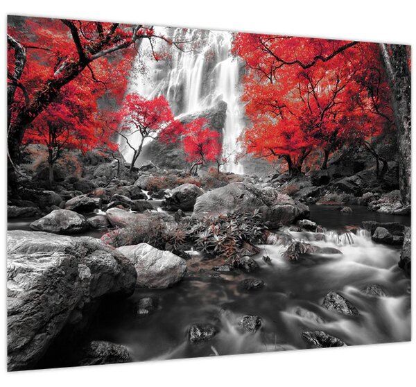 Obraz - Vodopády v podzimní krajině (70x50 cm)