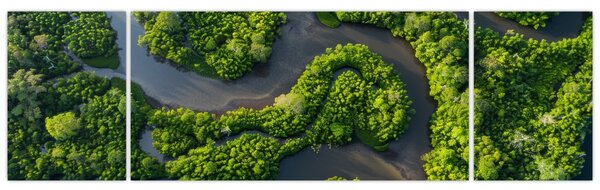 Obraz - Lesní krajina s řekou (170x50 cm)