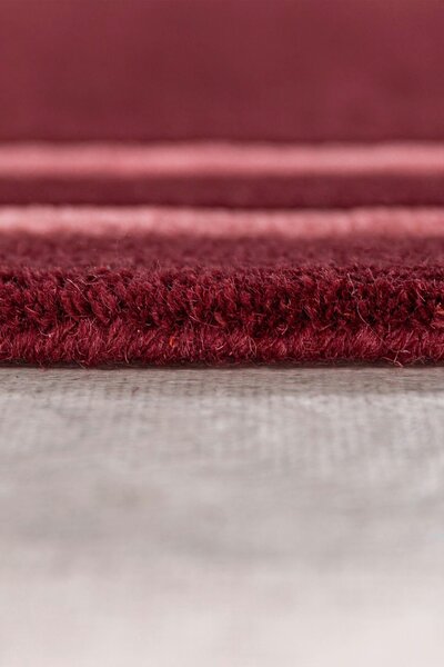 VLNĚNÝ KOBEREC, 120/170 cm tmavě červená Flair Rugs - Online Only koberce & rohožky, Online Only
