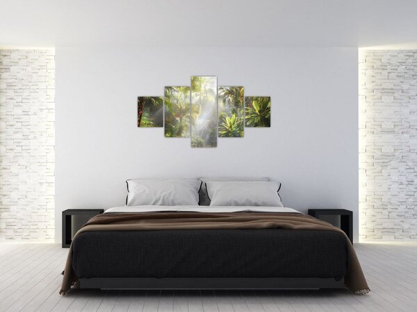 Obraz - Tropický deštný prales (125x70 cm)