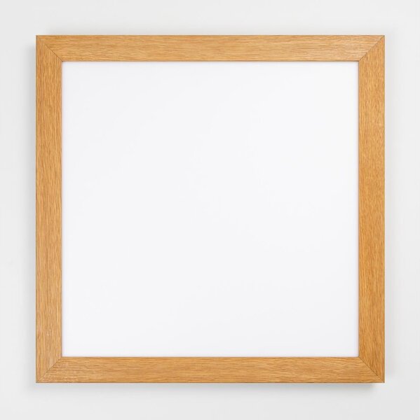 Eglo 99471 - LED Stropní svítidlo PIGLIONASSO LED/20W/230V 500x500 mm