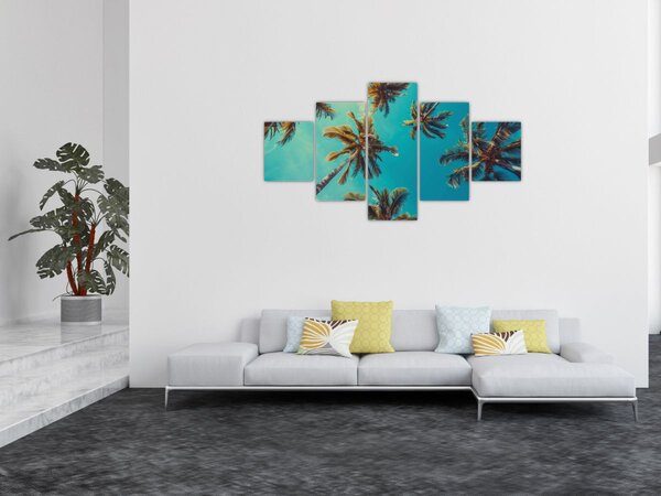 Obraz - Vysoké palmy (125x70 cm)