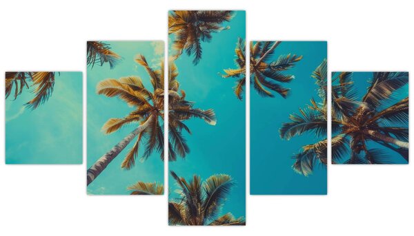 Obraz - Vysoké palmy (125x70 cm)
