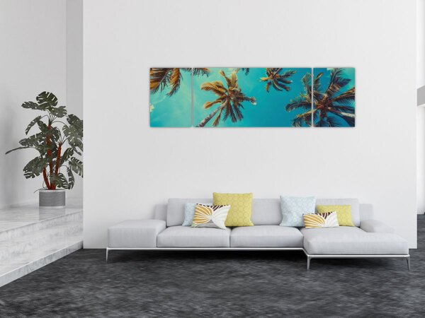 Obraz - Vysoké palmy (170x50 cm)