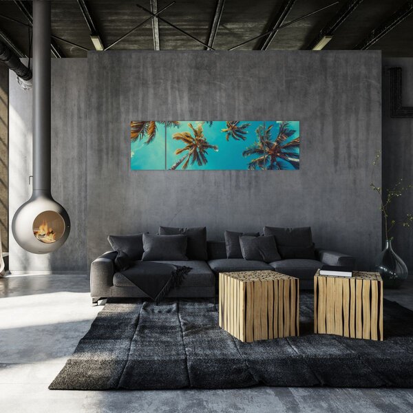 Obraz - Vysoké palmy (170x50 cm)