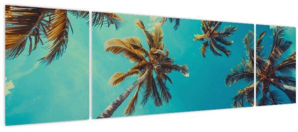 Obraz - Vysoké palmy (170x50 cm)