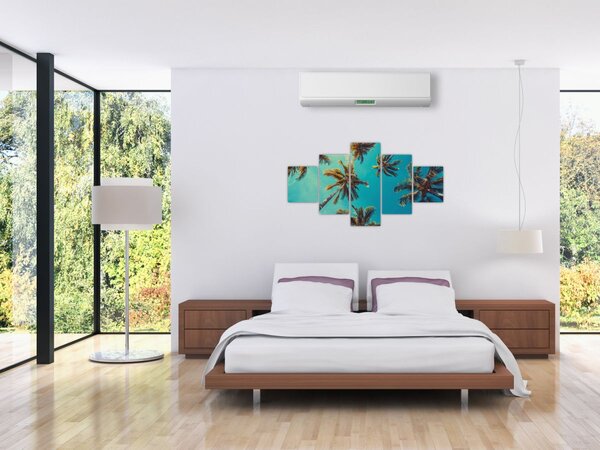 Obraz - Vysoké palmy (125x70 cm)