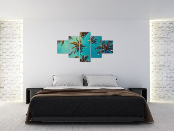 Obraz - Vysoké palmy (125x70 cm)