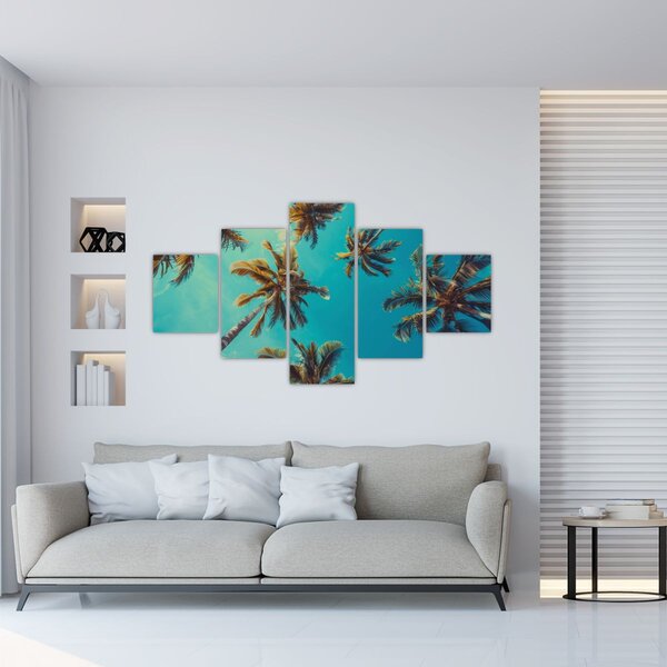 Obraz - Vysoké palmy (125x70 cm)