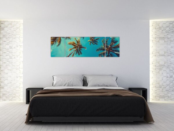Obraz - Vysoké palmy (170x50 cm)