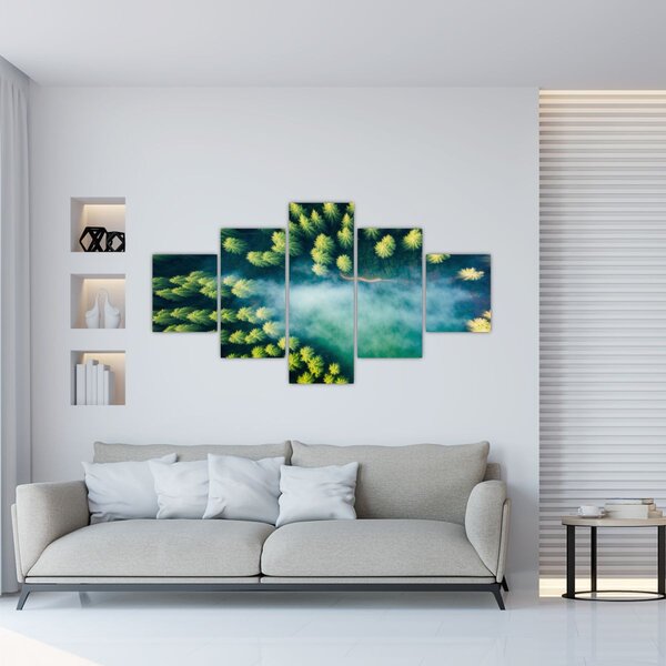 Obraz - Mlhou zahalený les (125x70 cm)