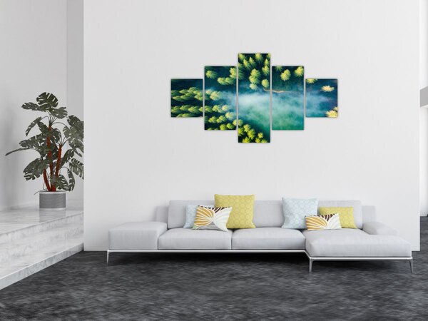 Obraz - Mlhou zahalený les (125x70 cm)
