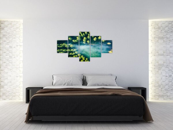 Obraz - Mlhou zahalený les (125x70 cm)