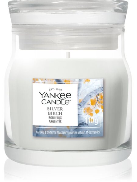 Yankee Candle Silver Birch vonná svíčka Signature 110 g