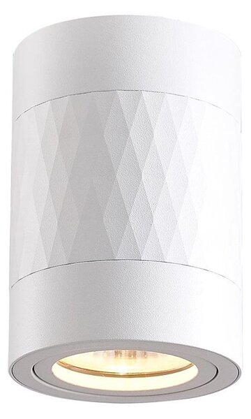 Bodové svítidlo BIMA 1xGU10/25W/230V kulatý bílá