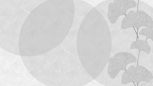 Fototapety Velké listy ginkgo a geometrie šedá barva, Fototapety 3D, Fototapety 3d listí, w01465v3 : uwalls.cz