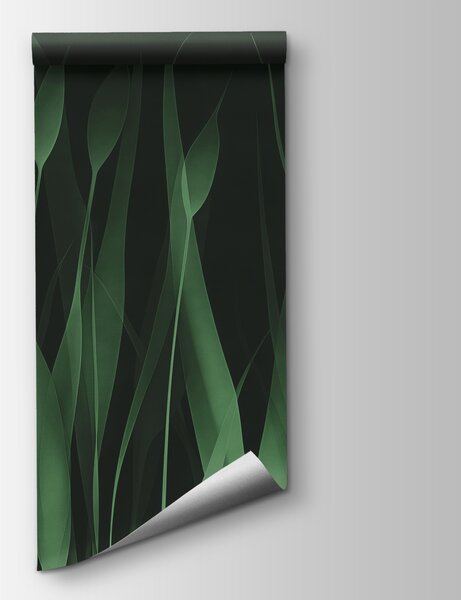 Fototapeta Zelená tráva s černým pozadím, 3D listové fototapety, Populární fototapety, w01019v3 - Tapeko.co.cz
