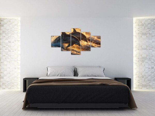 Obraz - Delfíni (125x70 cm)